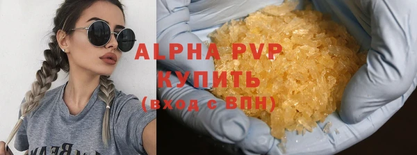 стаф Богородицк