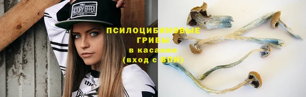 стаф Богородицк