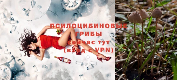 стаф Богородицк