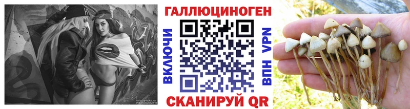 где можно купить   Олёкминск  Галлюциногенные грибы мухоморы 
